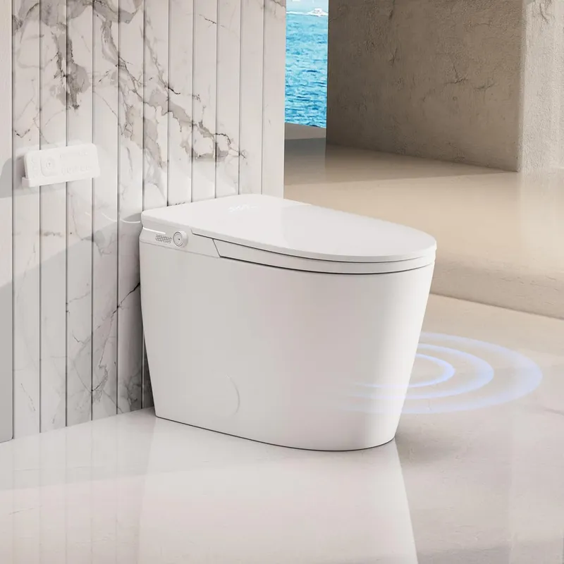 Bybarenova Smart Bidet Toilet with Auto Lid&Seat